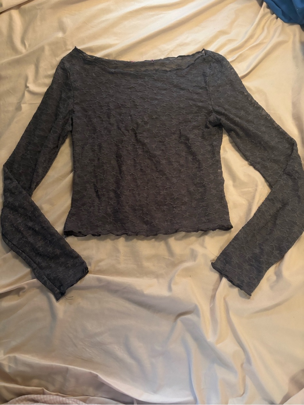 Edikted Charcoal Sheer Lace-Textured Long Sleeve Crop Top